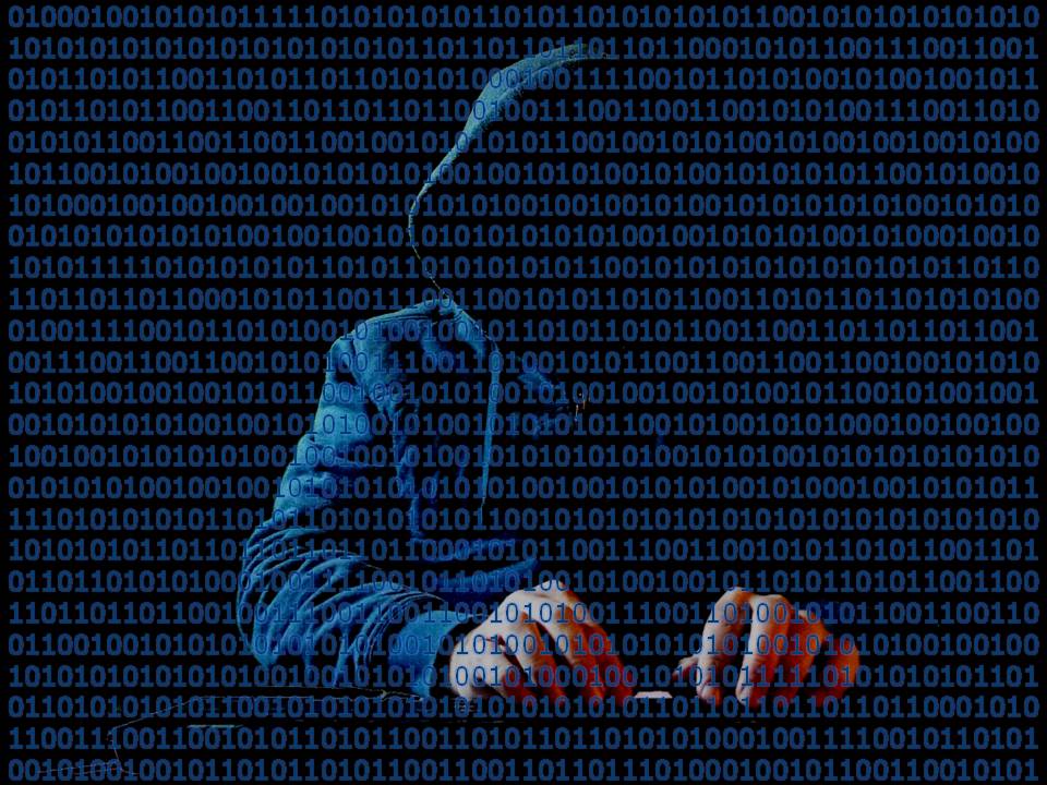 Hooded figure against binary code