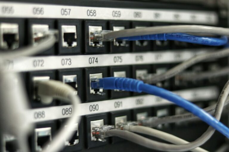 Network cables close-up
